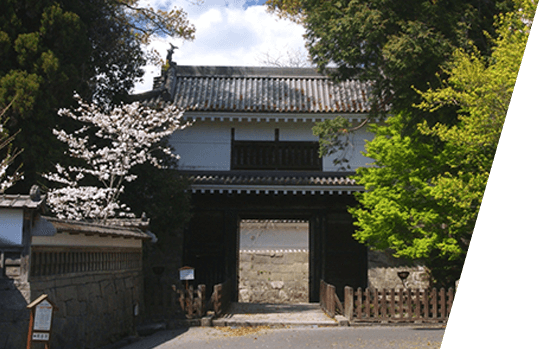 Obi Castle Museum